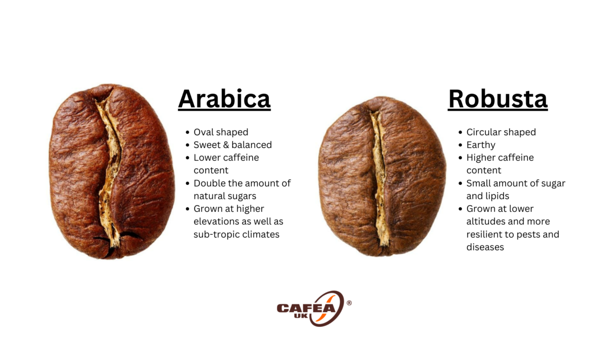 Nutrition Facts Of Arabica Coffee Nutrition Facts Of Arabica Coffee